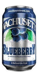 Wachusett Brewing Company - Blueberry Ale (12 pack 12oz cans) (12 pack 12oz cans)